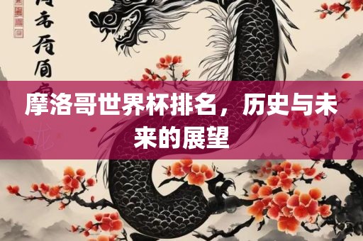 摩洛哥世界杯排名，历史与未来的展望