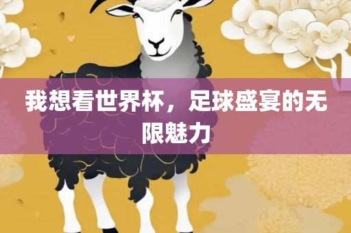 我想看世界杯，足球盛宴的无限魅力