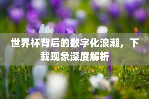 世界杯背后的数字化浪潮，下载现象深度解析