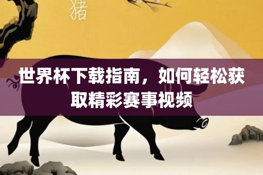世界杯下载指南，如何轻松获取精彩赛事视频