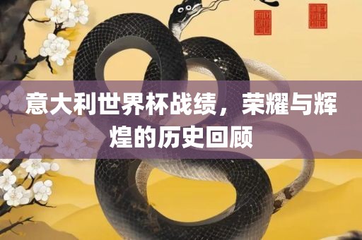 意大利世界杯战绩，荣耀与辉煌的历史回顾