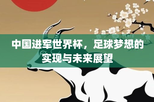 中国进军世界杯，足球梦想的实现与未来展望