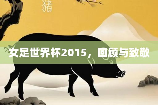 女足世界杯2015，回顾与致敬