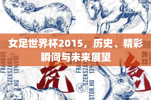女足世界杯2015，历史、精彩瞬间与未来展望