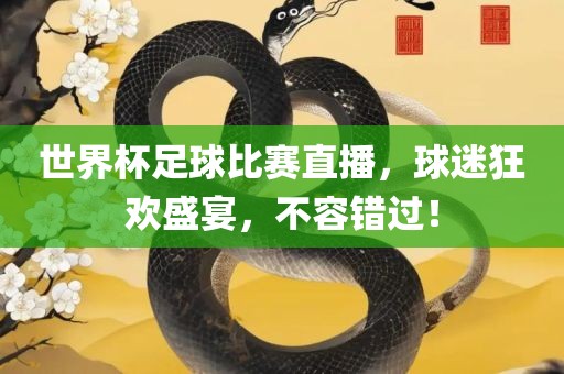 世界杯足球比赛直播，球迷狂欢盛宴，不容错过！