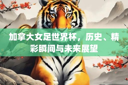 加拿大女足世界杯，历史、精彩瞬间与未来展望