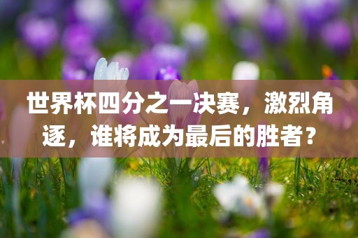 世界杯四分之一决赛，激烈角逐，谁将成为最后的胜者？