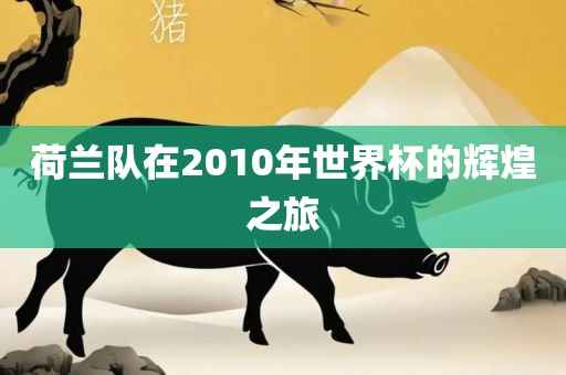 荷兰队在2010年世界杯的辉煌之旅