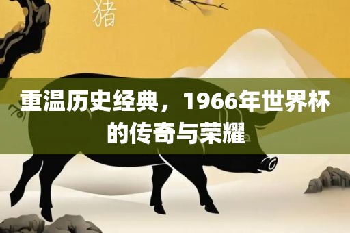 重温历史经典，1966年世界杯的传奇与荣耀
