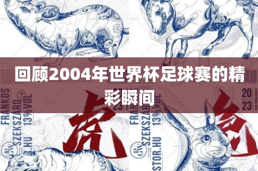 回顾2004年世界杯足球赛的精彩瞬间