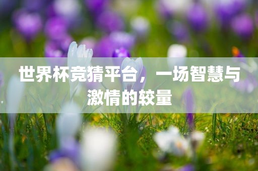 世界杯竞猜平台，一场智慧与激情的较量