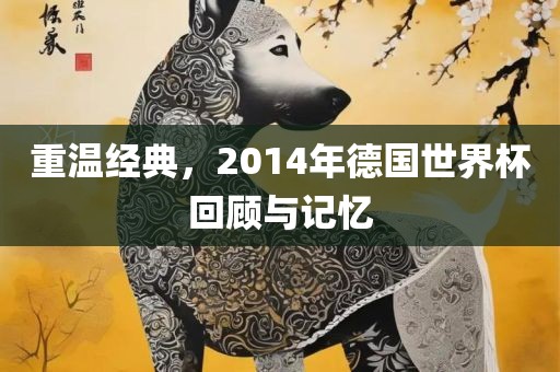 重温经典，2014年德国世界杯回顾与记忆