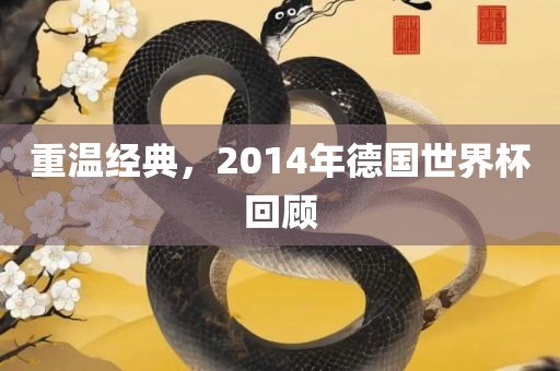 重温经典，2014年德国世界杯回顾