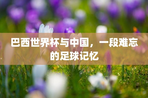 巴西世界杯与中国，一段难忘的足球记忆