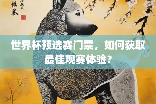 世界杯预选赛门票，如何获取最佳观赛体验？
