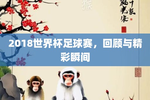 2018世界杯足球赛，回顾与精彩瞬间