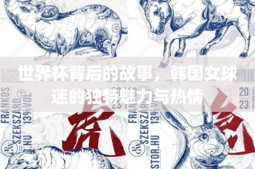 世界杯背后的故事，韩国女球迷的独特魅力与热情