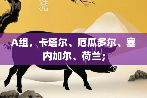 A组，卡塔尔、厄瓜多尔、塞内加尔、荷兰；