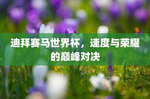 迪拜赛马世界杯，速度与荣耀的巅峰对决