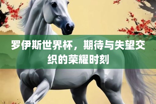 罗伊斯世界杯，期待与失望交织的荣耀时刻