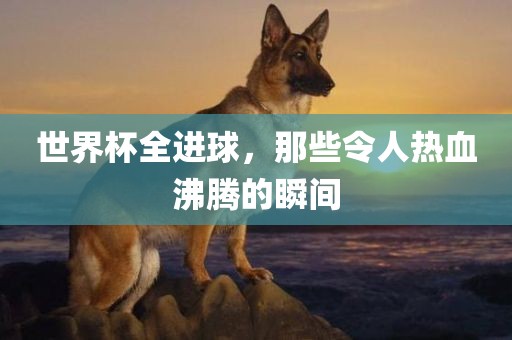 世界杯全进球，那些令人热血沸腾的瞬间