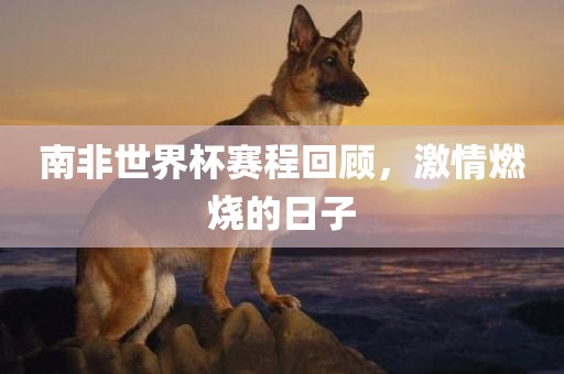 南非世界杯赛程回顾，激情燃烧的日子