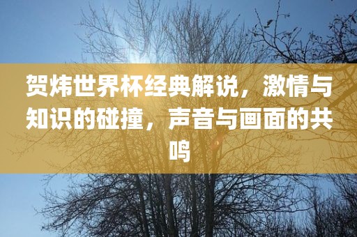 贺炜世界杯经典解说，激情与知识的碰撞，声音与画面的共鸣