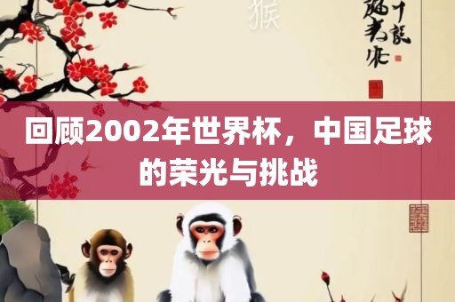 回顾2002年世界杯，中国足球的荣光与挑战