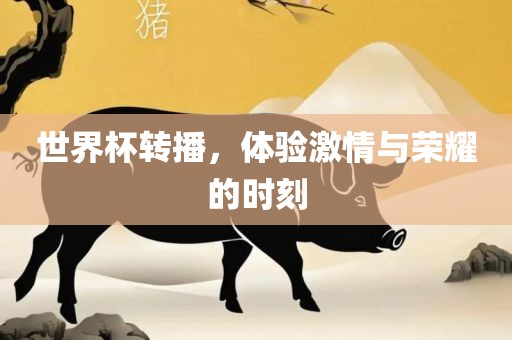 世界杯转播，体验激情与荣耀的时刻