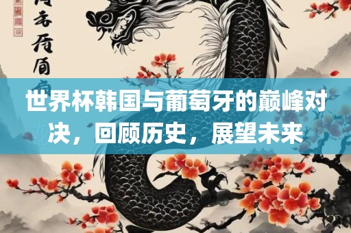 世界杯韩国与葡萄牙的巅峰对决，回顾历史，展望未来