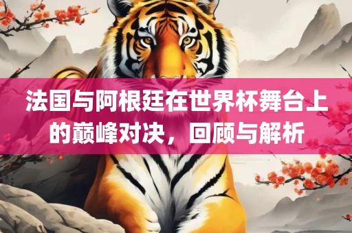法国与阿根廷在世界杯舞台上的巅峰对决，回顾与解析