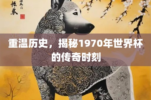 重温历史，揭秘1970年世界杯的传奇时刻