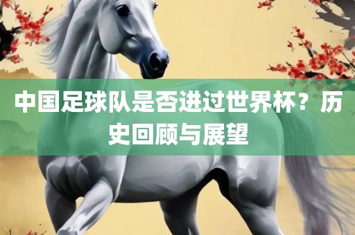 中国足球队是否进过世界杯？历史回顾与展望漯河市盈旭机械设备有限公司