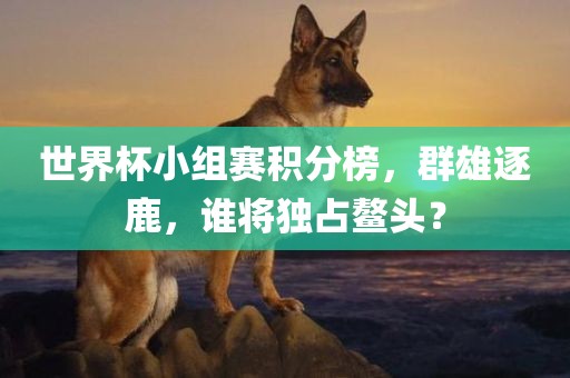 世界杯小组赛积分榜，群雄逐鹿，谁将独占鳌头？