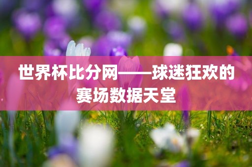 世界杯比分网——球迷狂欢的赛场数据天堂
