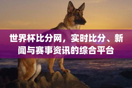 世界杯比分网，实时比分、新闻与赛事资讯的综合平台