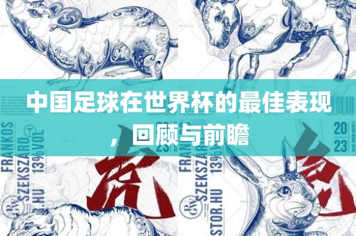 中国足球在世界杯的最佳表现，回顾与前瞻