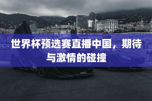 世界杯预选赛直播中国，期待与激情的碰撞
