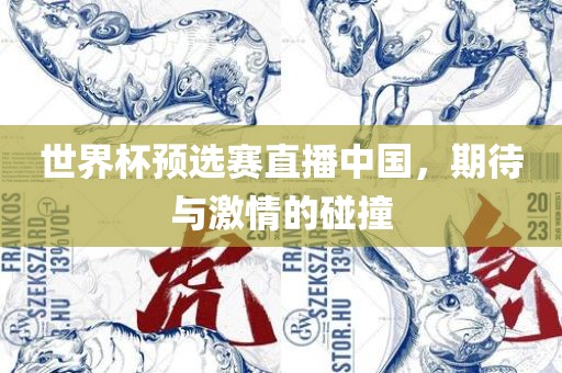 世界杯预选赛直播中国，期待与激情的碰撞