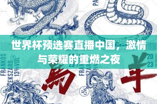 世界杯预选赛直播中国，激情与荣耀的重燃之夜