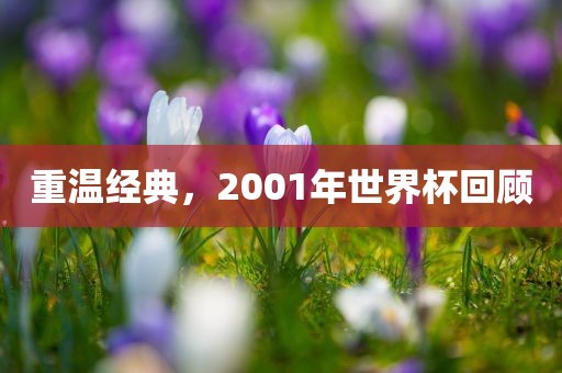 重温经典，2001年世界杯回顾