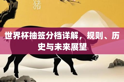 世界杯抽签分档详解，规则、历史与未来展望