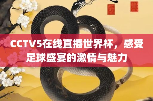 CCTV5在线直播世界杯，感受足球盛宴的激情与魅力