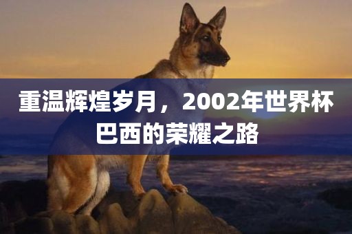 重温辉煌岁月，2002年世界杯巴西的荣耀之路