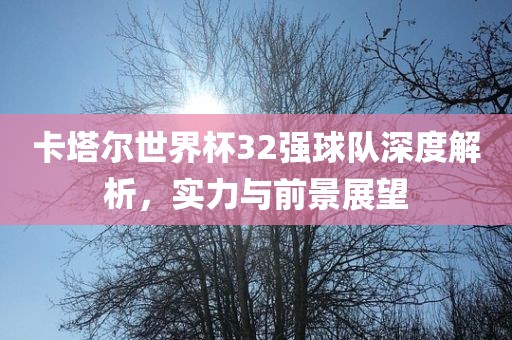 卡塔尔世界杯32强球队深度解析，实力与前景展望