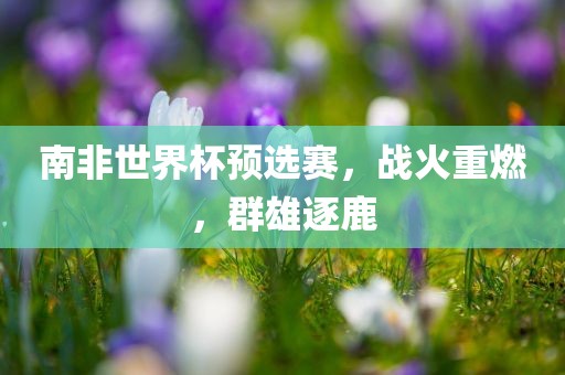 南非世界杯预选赛，战火重燃，群雄逐鹿