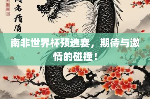 南非世界杯预选赛，期待与激情的碰撞！
