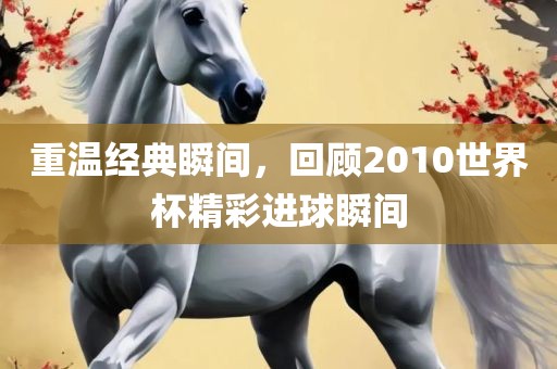 重温经典瞬间，回顾2010世界杯精彩进球瞬间