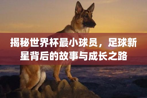 揭秘世界杯最小球员，足球新星背后的故事与成长之路