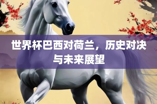 世界杯巴西对荷兰，历史对决与未来展望